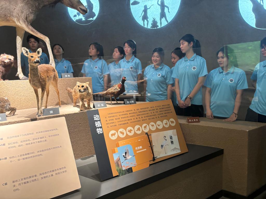 OK138太阳集团